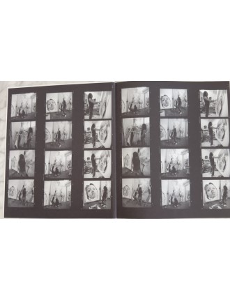 Livre Philippe Pasqua. Paradise. Edition Skira. 2010. David Rosenberg.
