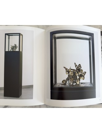 Livre Philippe Pasqua. Paradise. Edition Skira. 2010. David Rosenberg.