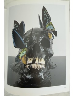 Livre Philippe Pasqua. Paradise. Edition Skira. 2010. David Rosenberg.