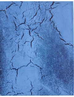 Livre Philippe Pastor, la mémoire et la mer. Texte Léo Ferré. Edition Monaco Modern Art, Décembre 2012.