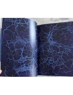 Livre Philippe Pastor, la mémoire et la mer. Texte Léo Ferré. Edition Monaco Modern Art, Décembre 2012.