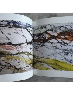 Livre Philippe Pastor, la mémoire et la mer. Texte Léo Ferré. Edition Monaco Modern Art, Décembre 2012.