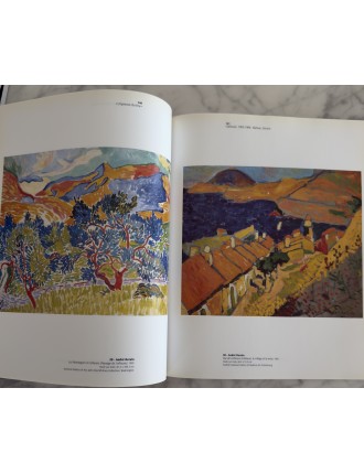 Livre Le Fauvisme ou l'épreuve du feu. Musée d'art moderne de la ville de Paris. 2000