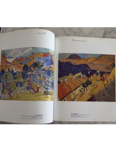 Livre Le Fauvisme ou l'épreuve du feu. Musée d'art moderne de la ville de Paris. 2000