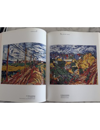 Livre Le Fauvisme ou l'épreuve du feu. Musée d'art moderne de la ville de Paris. 2000