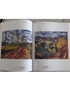 Livre Le Fauvisme ou l'épreuve du feu. Musée d'art moderne de la ville de Paris. 2000