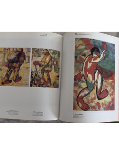 Livre Le Fauvisme ou l'épreuve du feu. Musée d'art moderne de la ville de Paris. 2000