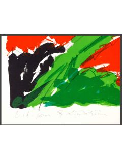 Lithographie couleur Verdure de Maurice Wyckaert