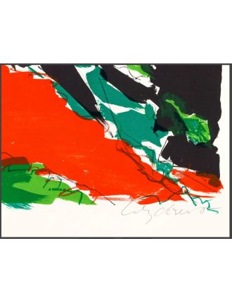 Lithographie couleur Verdure de Maurice Wyckaert